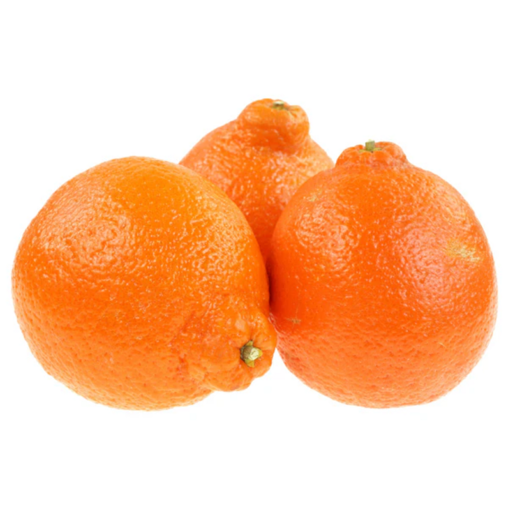 Citrus Tangelo Minneola 5l