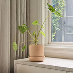 Load image into Gallery viewer, Northcote Pottery Hana Egg Pot With Saucer Blush 14x14cm