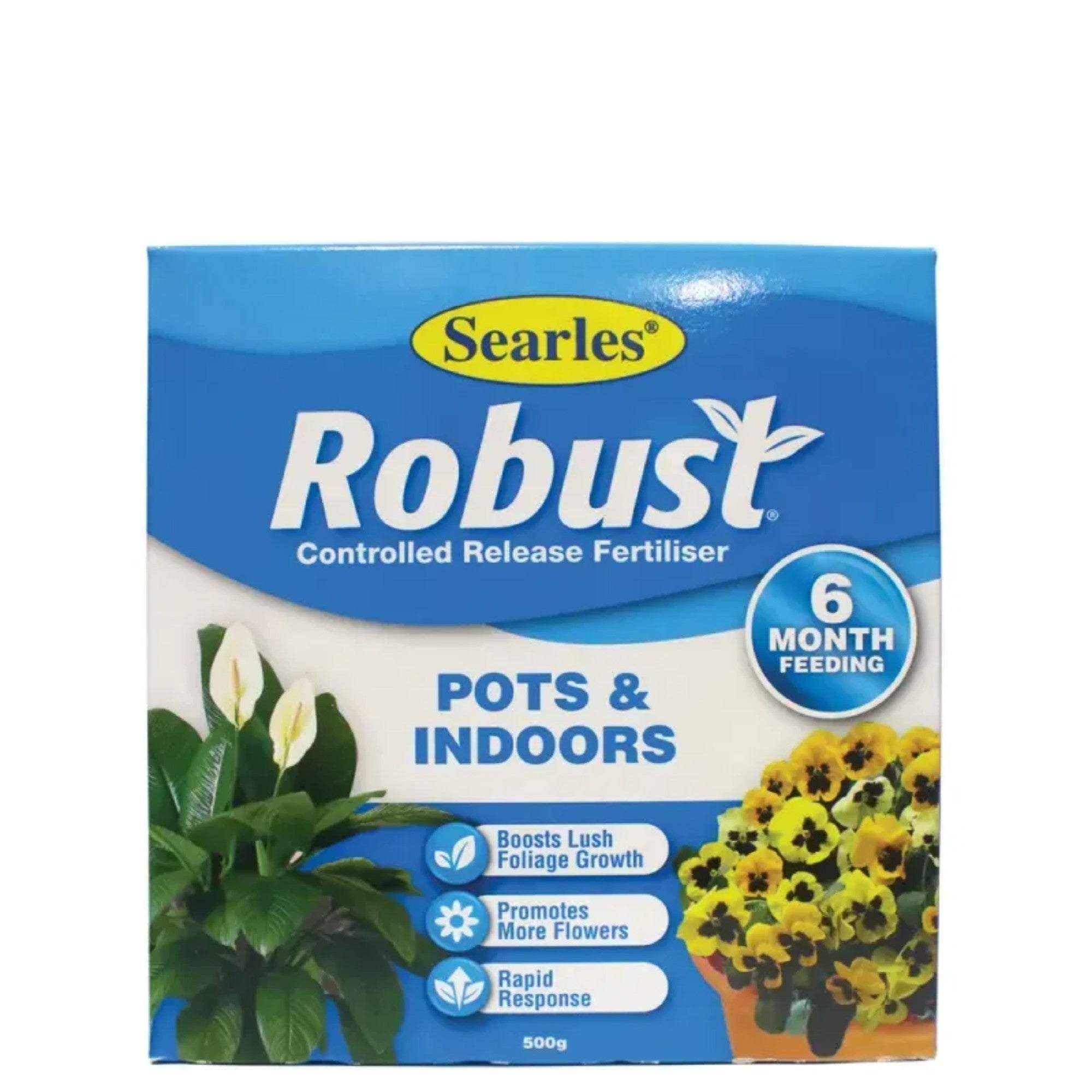 Robust Pots And Indoors 500g