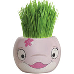 Load image into Gallery viewer, Fothergills Grass Hair Kit Ocean Animals Dolphin