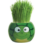 Load image into Gallery viewer, Fothergills Grass Hair Kit Ocean Animals Turtle