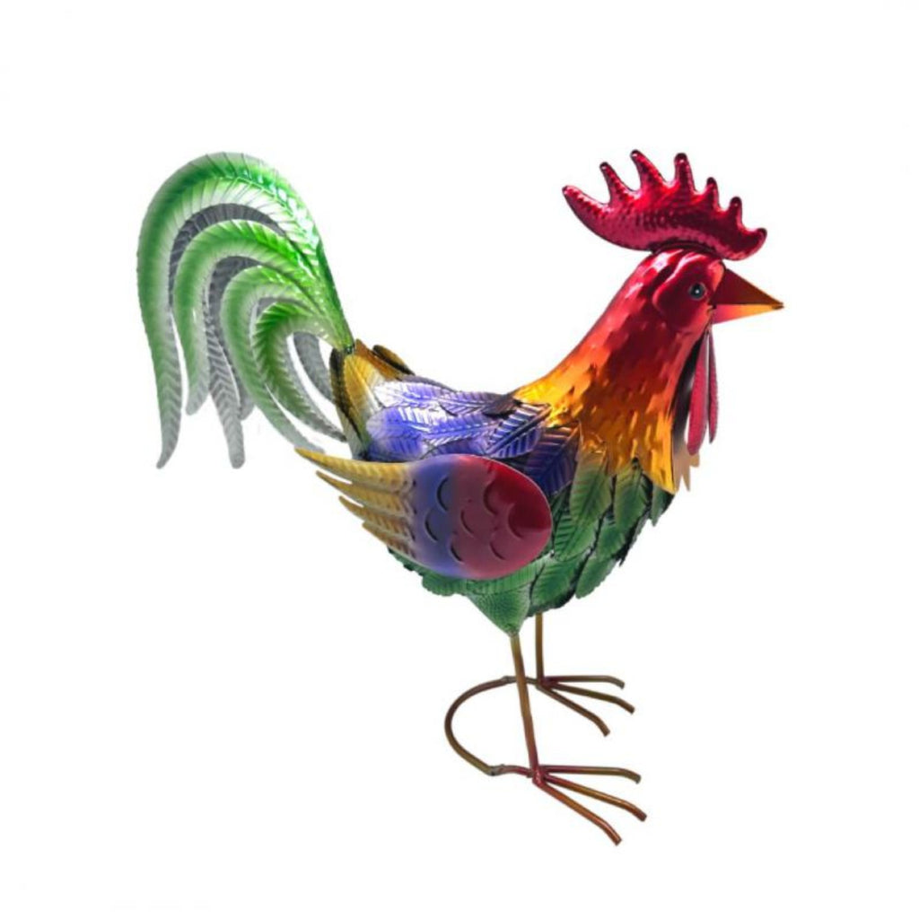 Rooster Rainbow