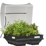 Load image into Gallery viewer, Vegepod Medium Raised Garden Bed With Vegecover 1mx1m