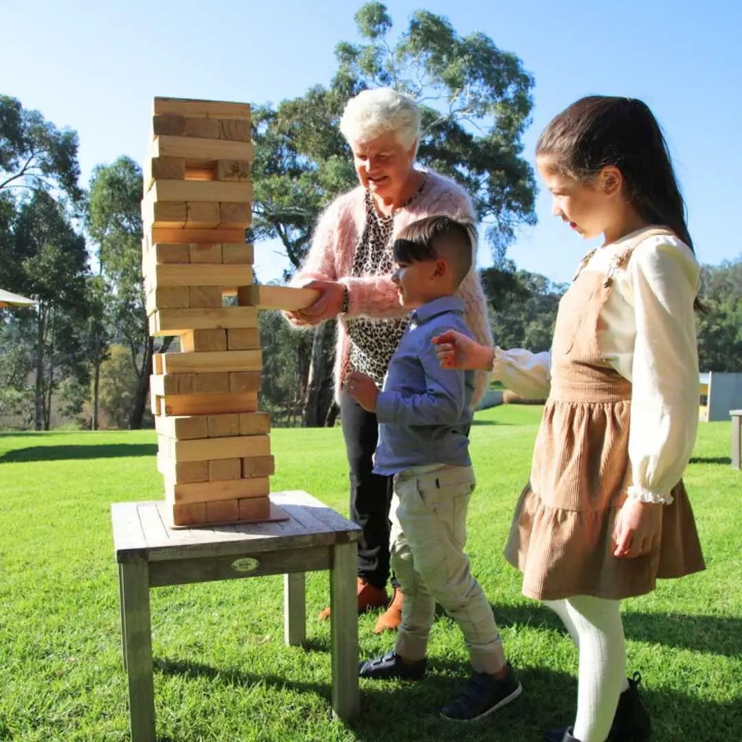 Bring the Fun Outdoors This Christmas with Classic Lawn Games – Lumpys ...