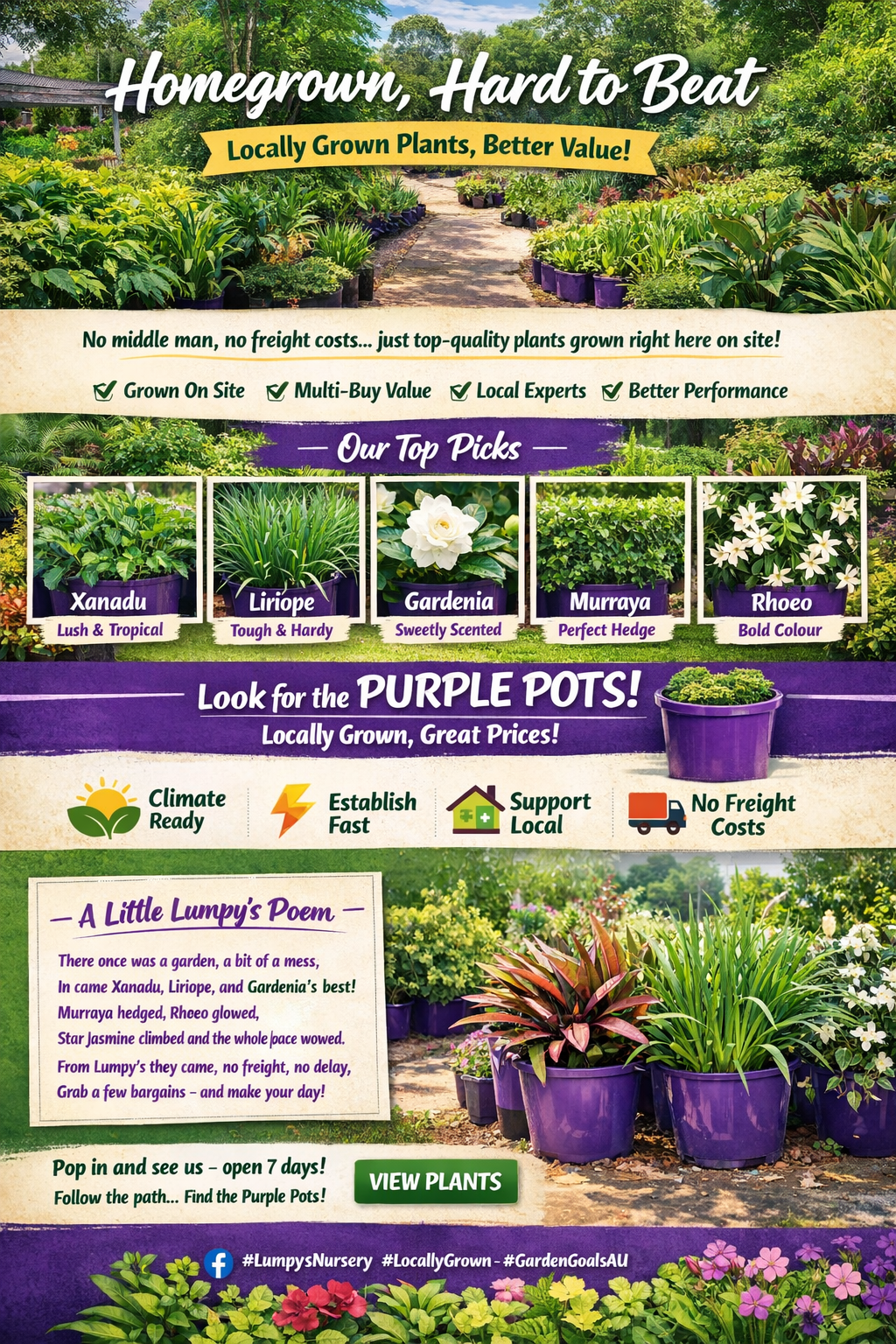 Homegrown, Hard to Beat – Why Lumpy’s Plants Just Make Sense
