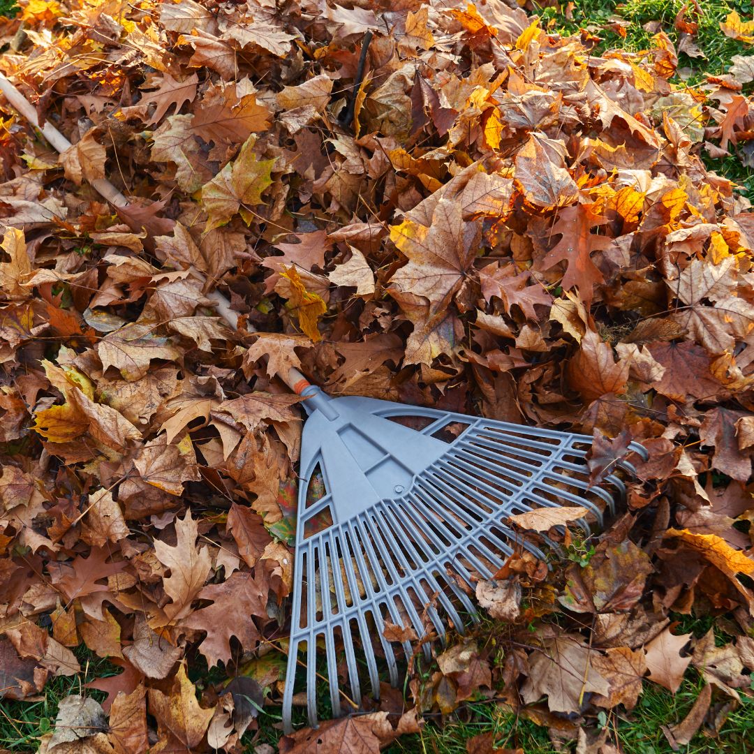 Preparing Your Garden for Winter: Everything You Need to Know