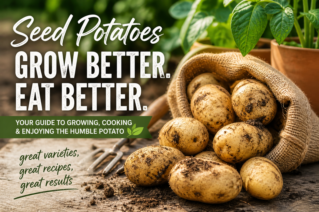 🥔 Seed Potatoes – The Secret to a Cracking Crop at Home