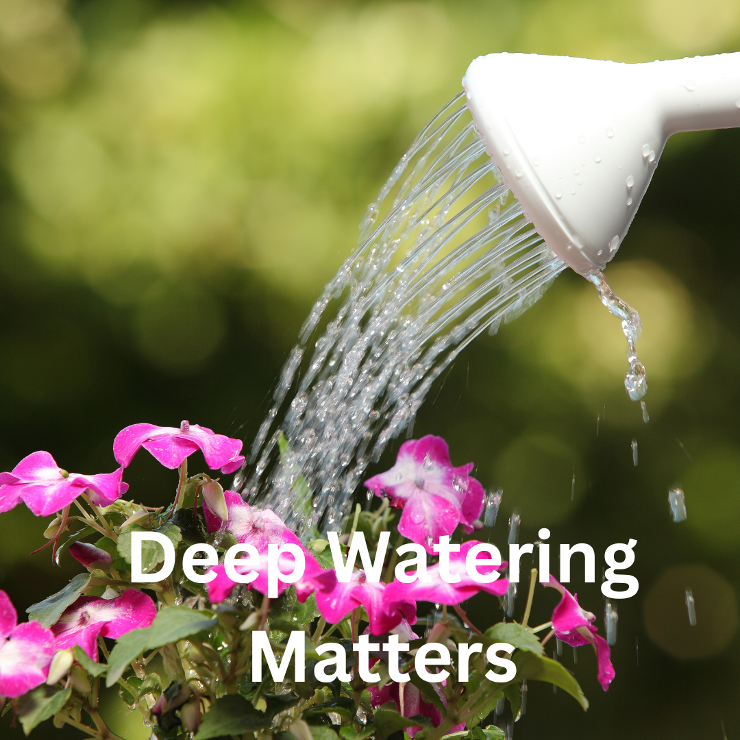 DEEP WATERING MATTERS