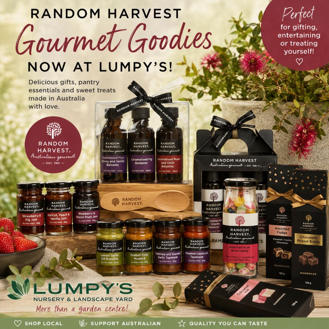 More Than Just a Nursery – Discover Random Harvest at Lumpy’s