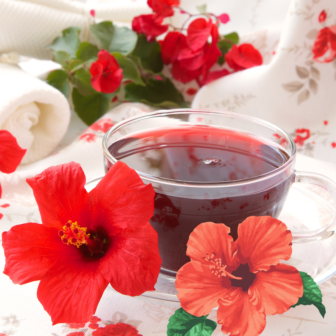 Hibiscus: The Blooming Wonder of Gardens