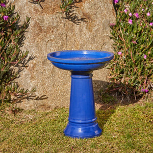 🐦💦 Why Every Garden Needs a Bird Bath!
