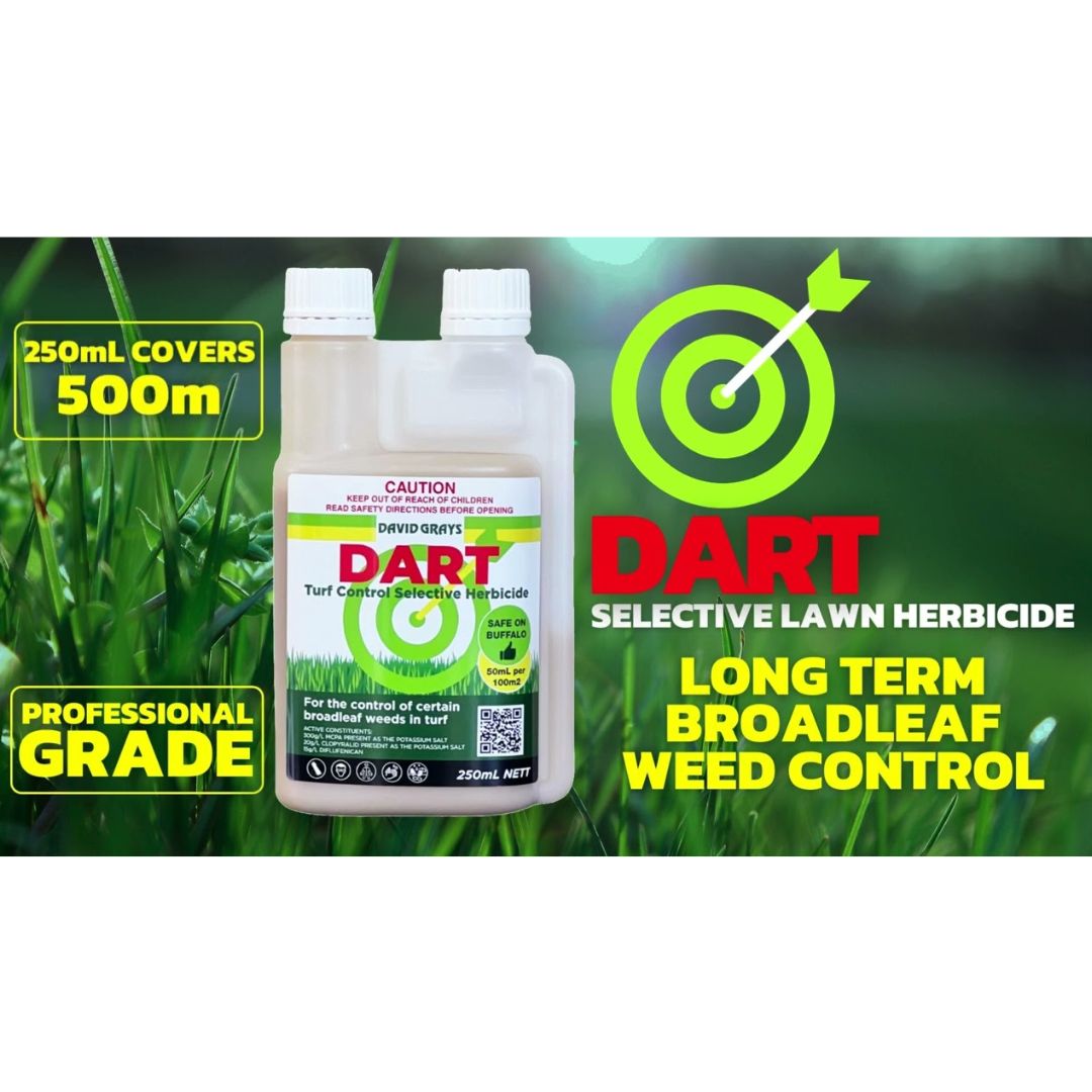 Hit the Bullseye with Dart Bindii & Broadleaf Lawn Weed Killer 🌱🎯