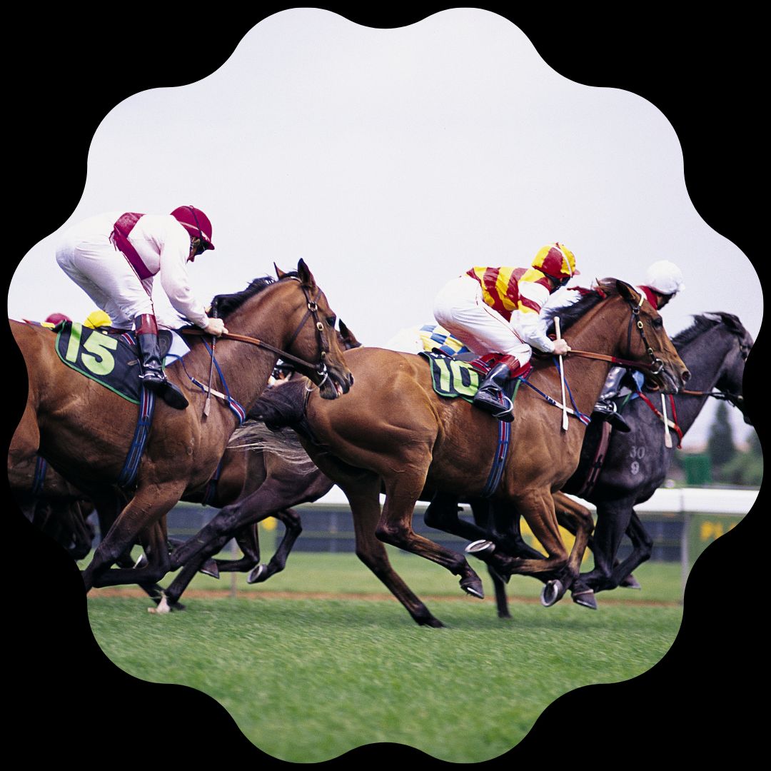 Tuncurry-Forster Jockey Club: A Rich History & the Family of League Race Day! 🏇🎉