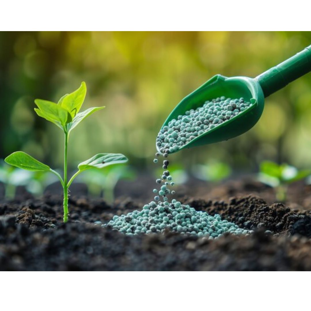 The Ultimate Guide to Choosing the Right Fertiliser for Your Garden 🌱🌿