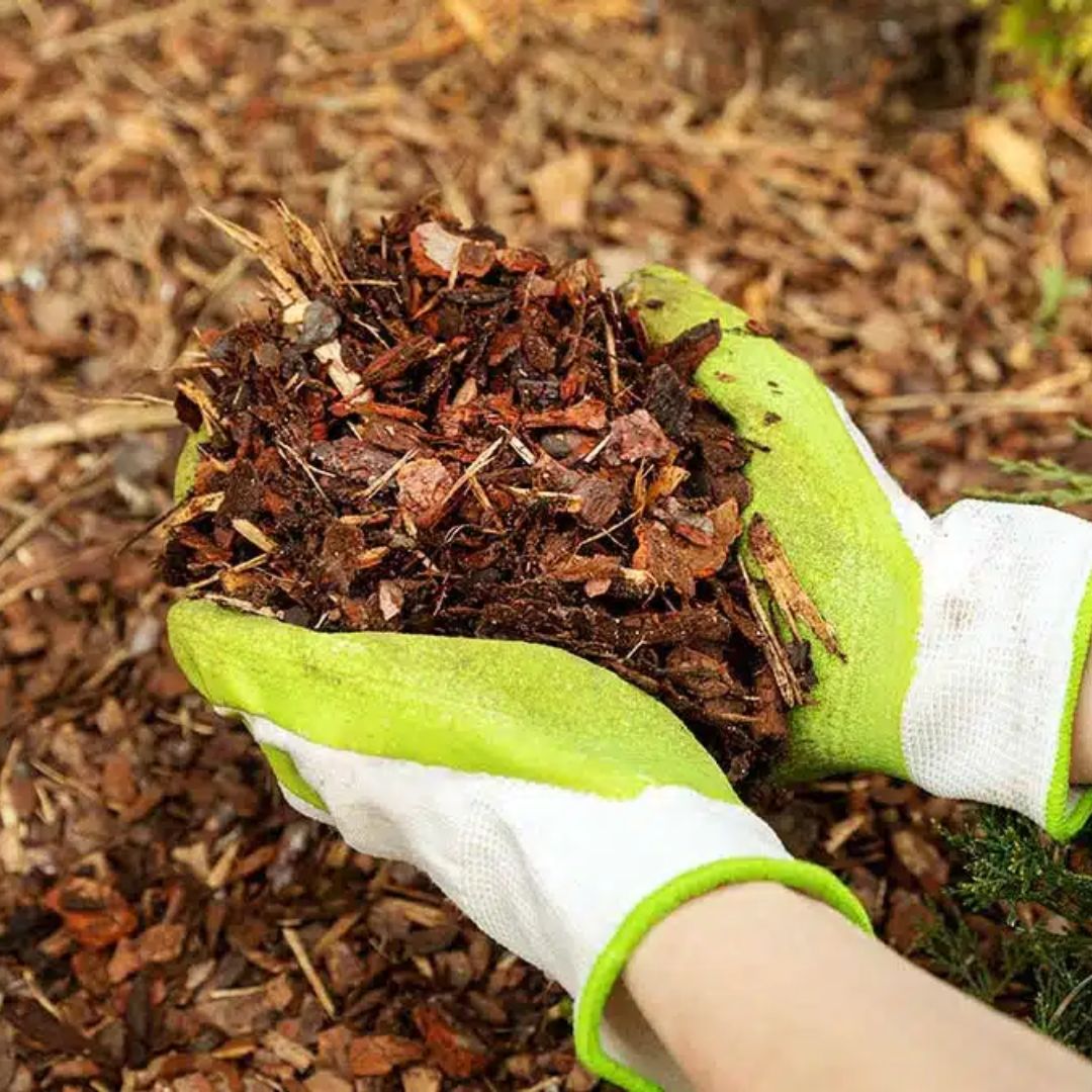 The Basics of Applying Mulch: Types, Benefits & Application Tips