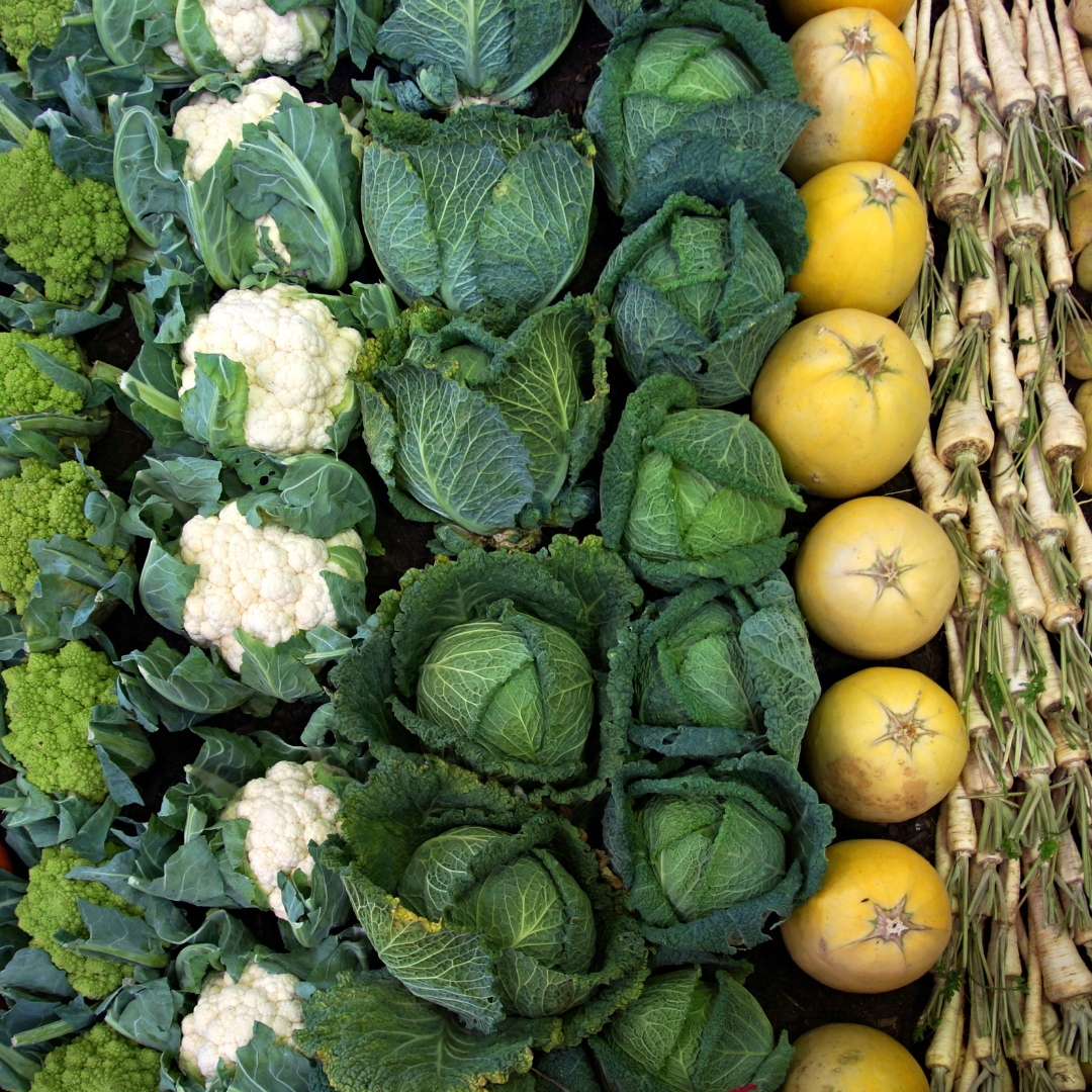 Autumn is Here! Time to Grow Your Favourite Veggies!