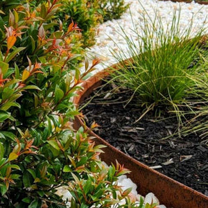 Enhance Your Garden with Straightcurve Garden Edging