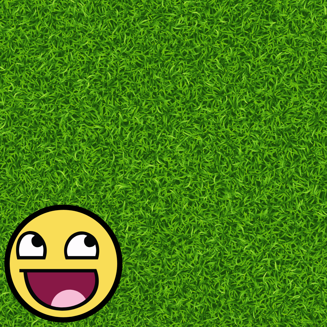 Looking After Your Turf – No, Not THAT Turf!