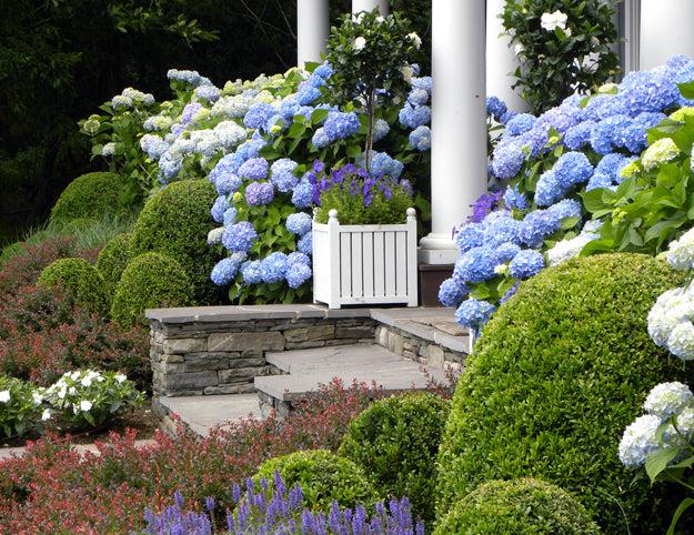 From Garden to Front Entrance: Creating a Welcoming First Impression
