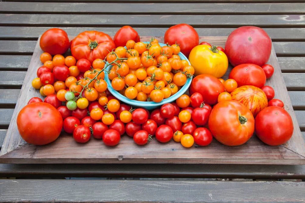 ARE TOMATOES, TOMATOES?