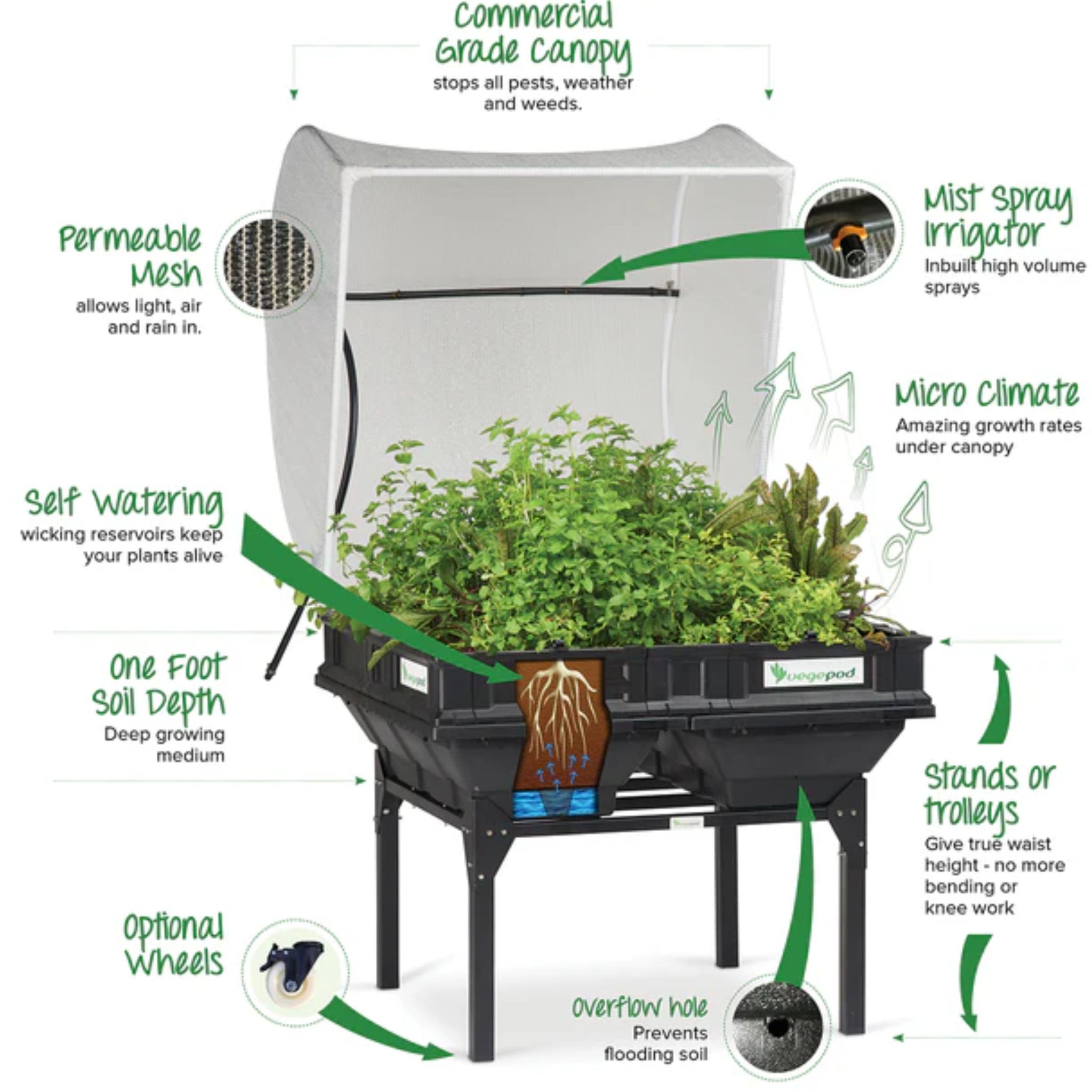 Grow Your Own Fresh Food with Vegepod! 🌱
