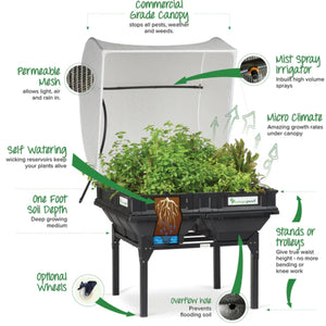 Grow Your Own Fresh Food with Vegepod! 🌱
