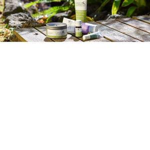 INSECT REPELLENT