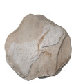 Bushrock Stepper Coffee 480x480x40
