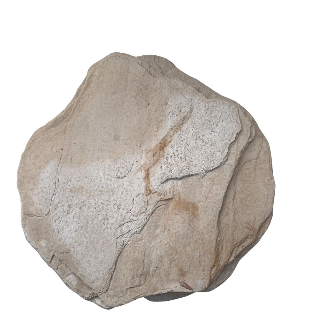 Bushrock Stepper Coffee 480x480x40