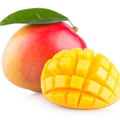 Mangifera Kensington 200