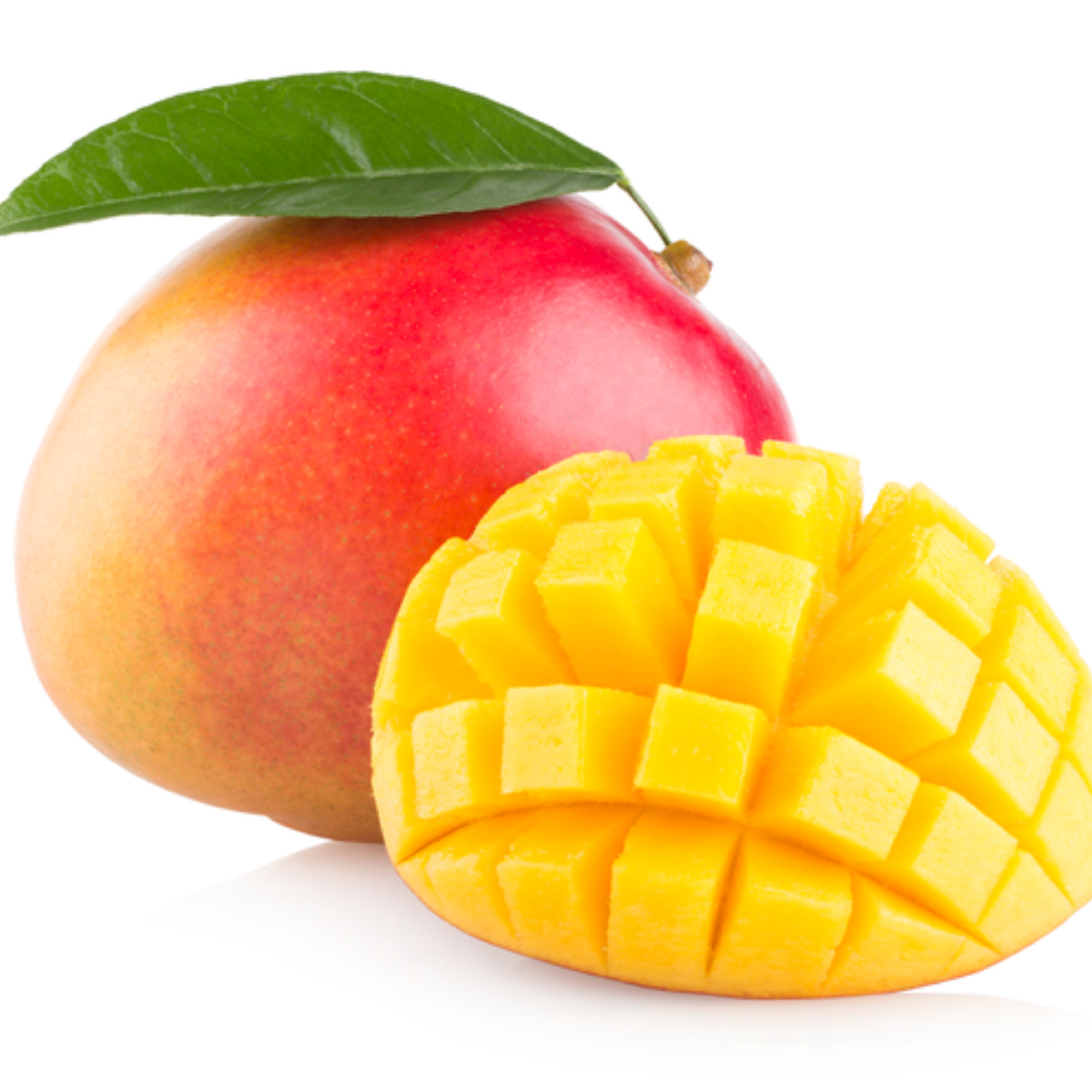 Mangifera Kensington 200