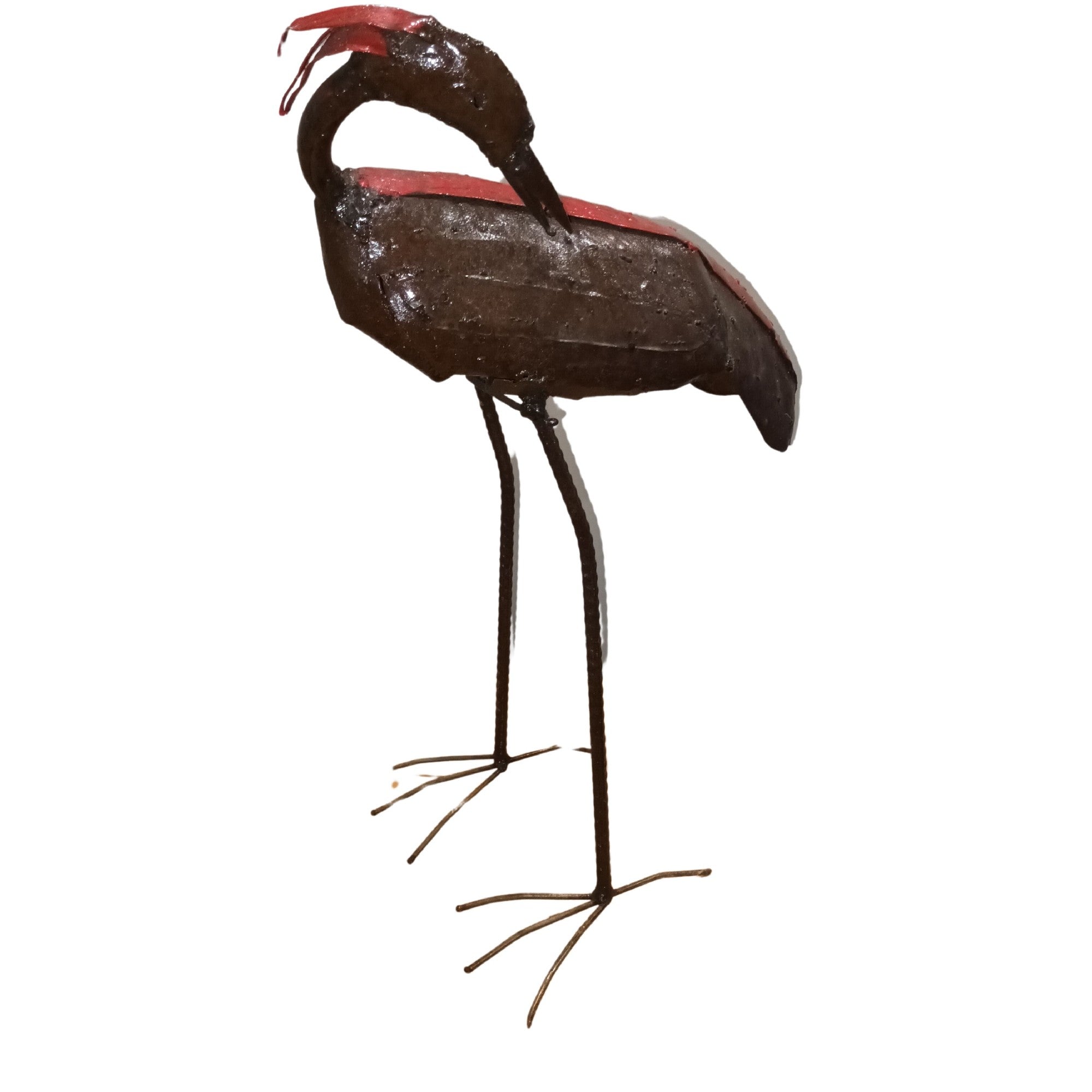 Eye On Africa Red Backed Heron Up 65cm