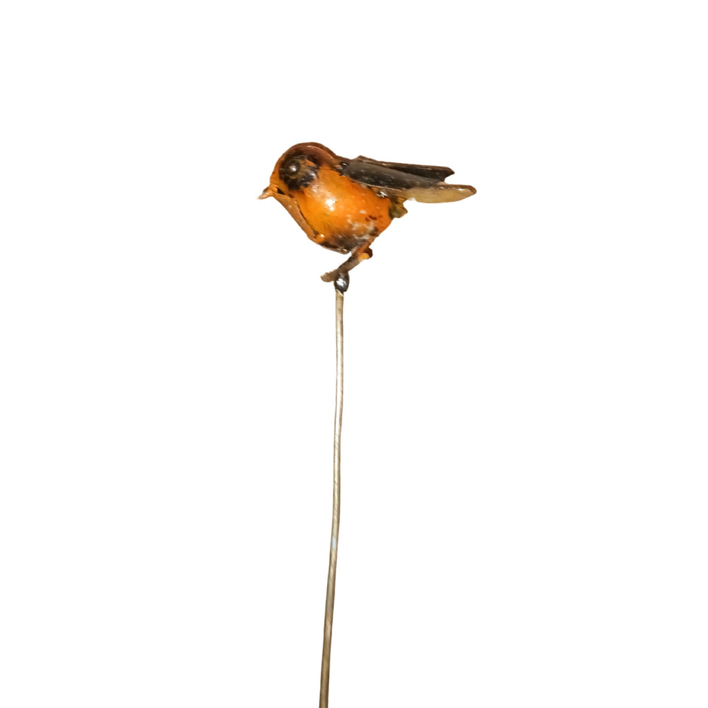 Eye On Africa Sparrow On Pole 369