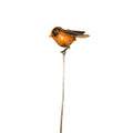 Eye On Africa Sparrow On Pole 369