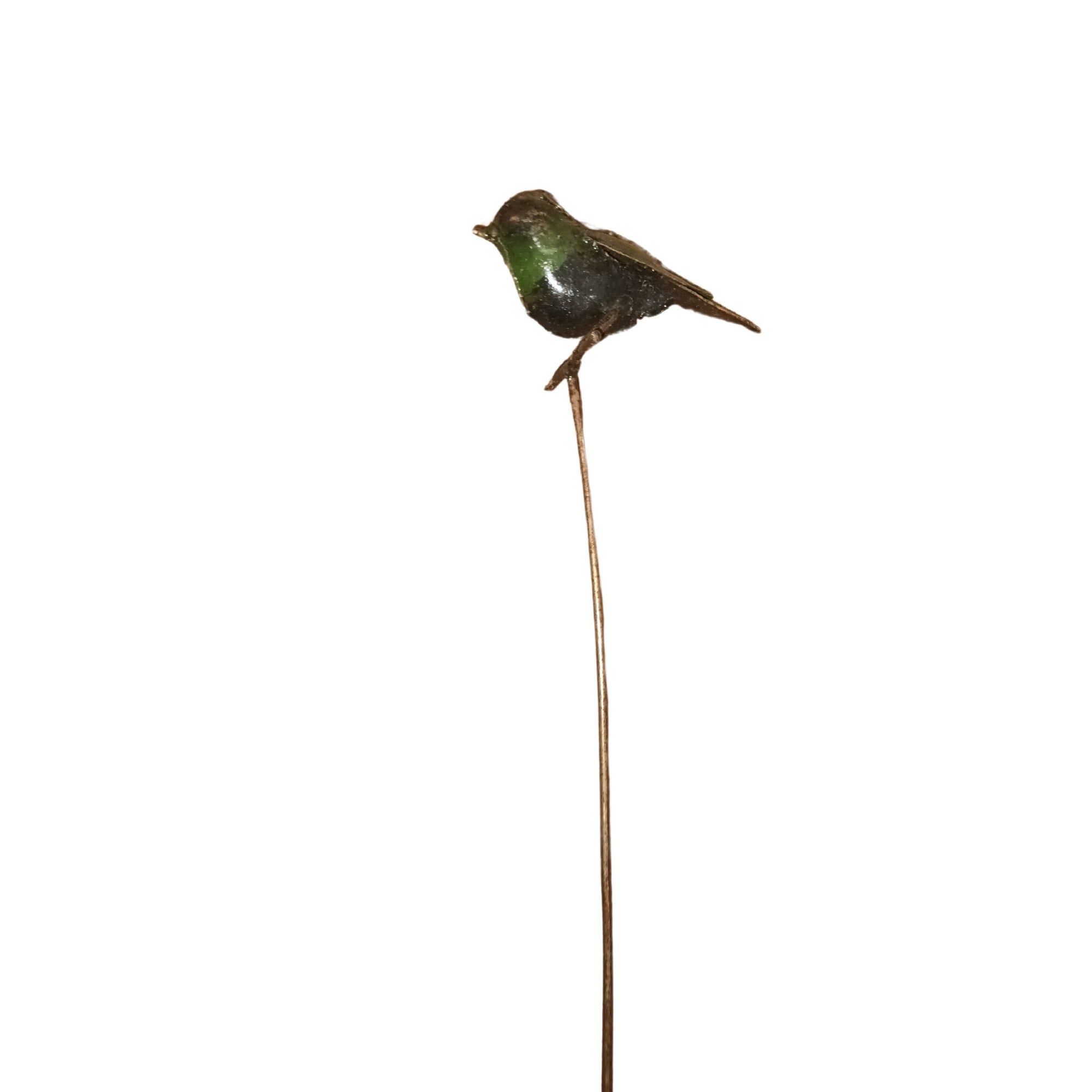 Eye On Africa Sparrow On Pole 369