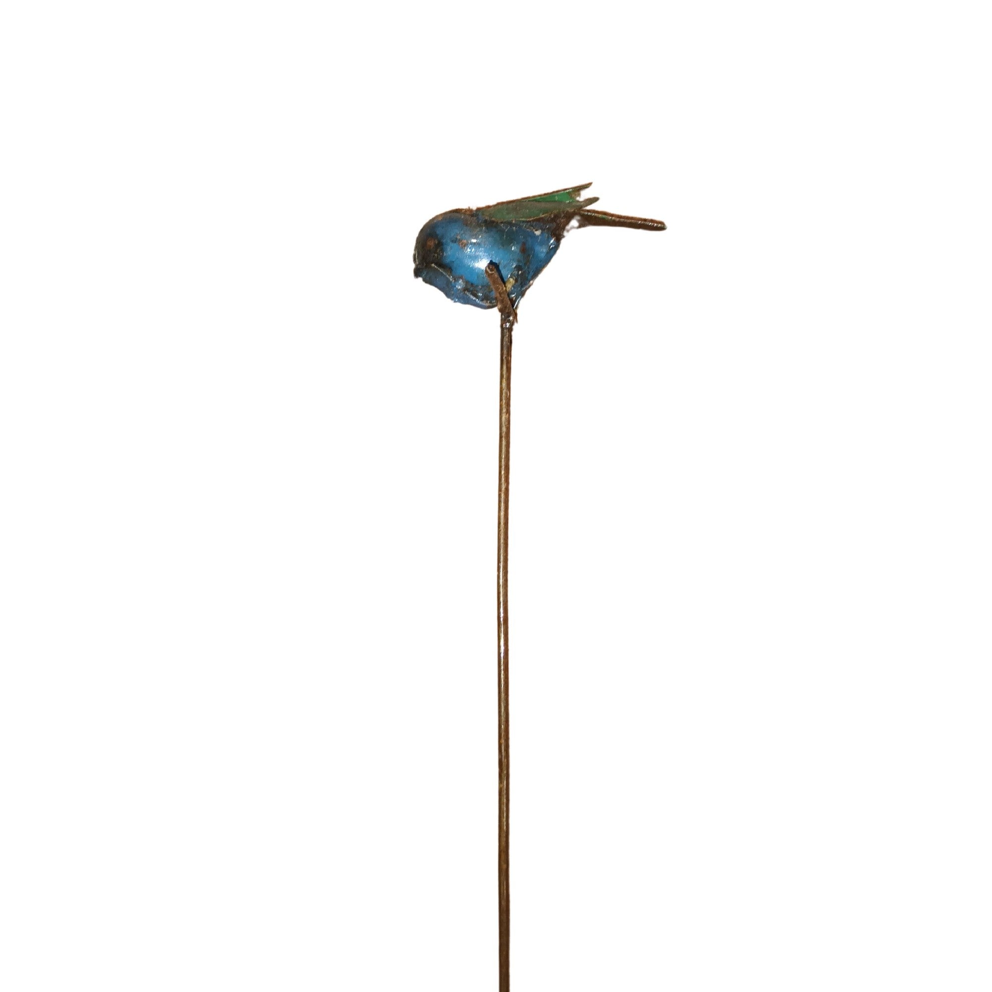Eye On Africa Sparrow On Pole 369