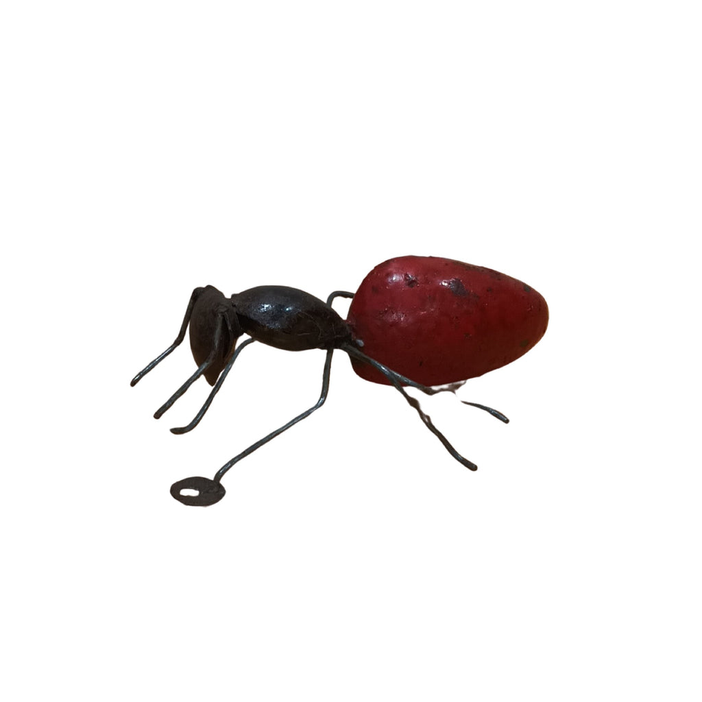 Eye On Africa Large Red Ant Wall Art 377