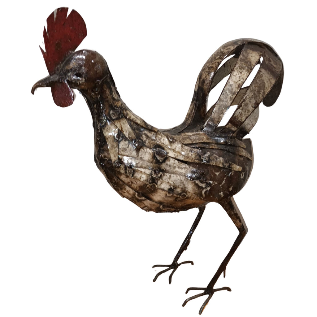 Eye On Africa Chicken 40cm 335