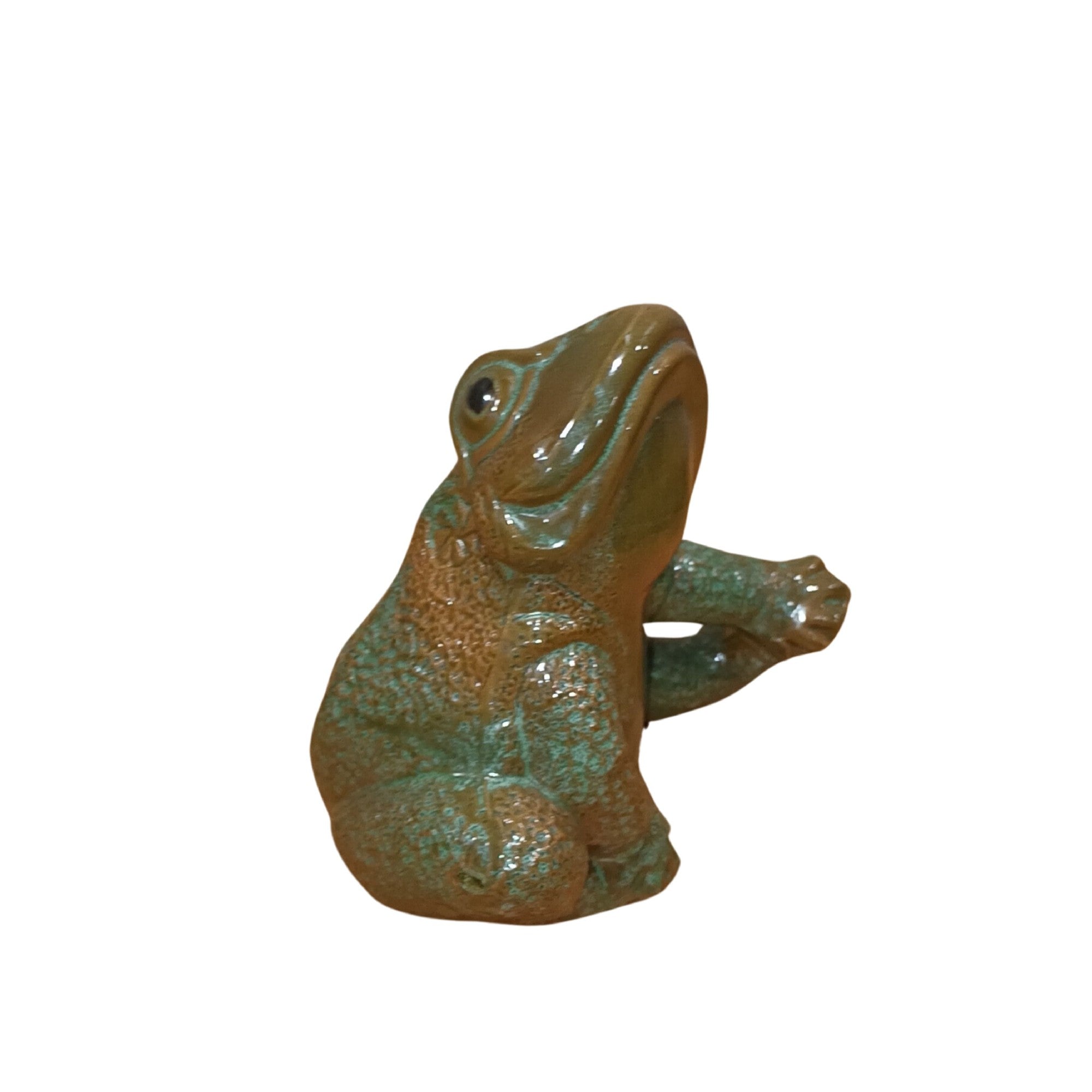 Frog Sitting – Lumpys Nursery & Landscape Yard