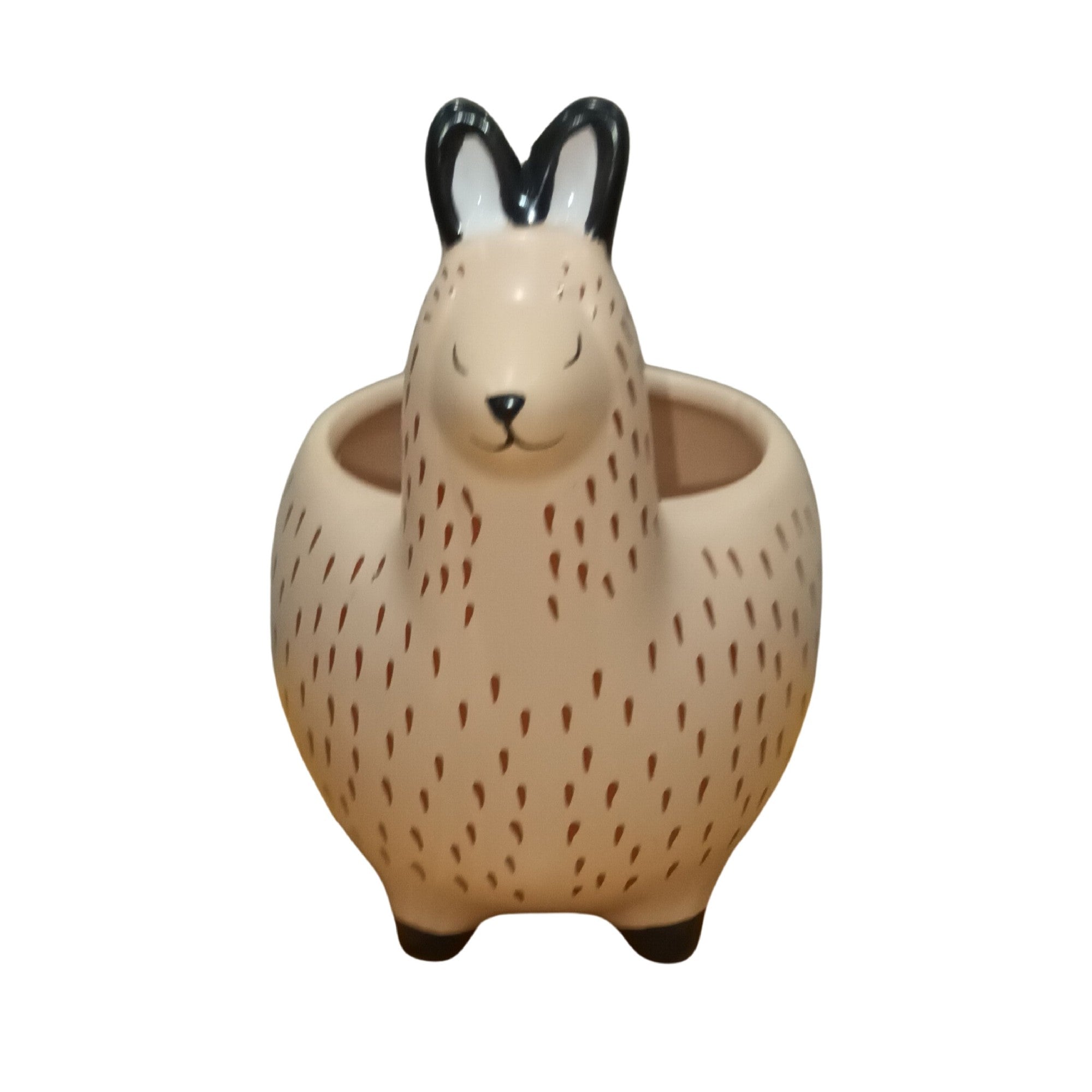 No Problem Llama Ceramic Planter