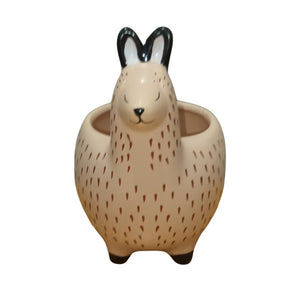No Problem Llama Ceramic Planter