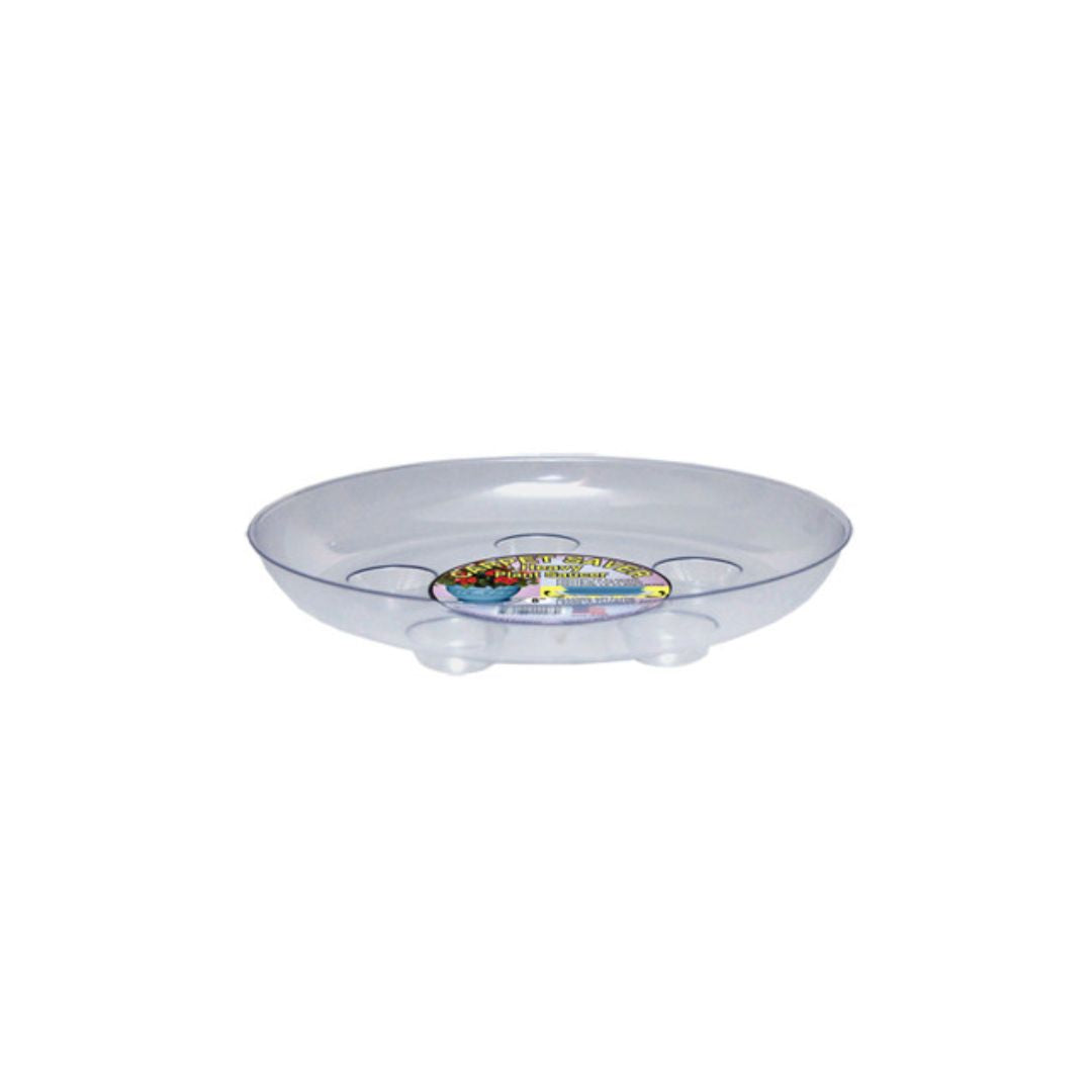 Mojay Everspring Designer Saucer 8"