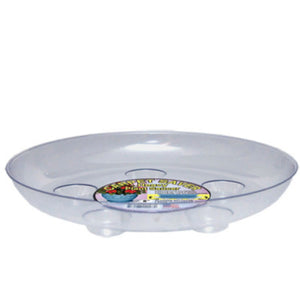 Everspring Designer Saucer 8"