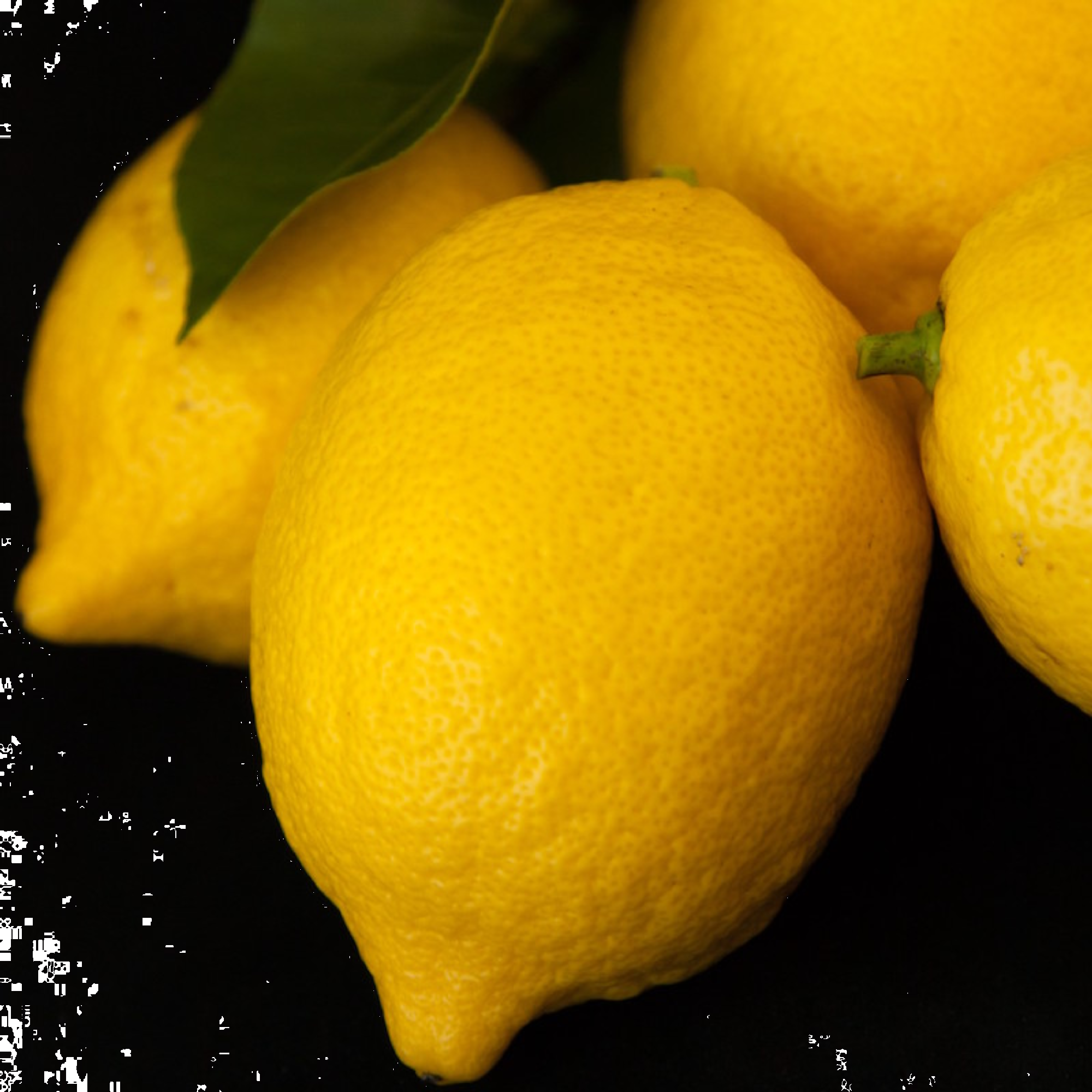 Citrus Lemon Eureka 5l