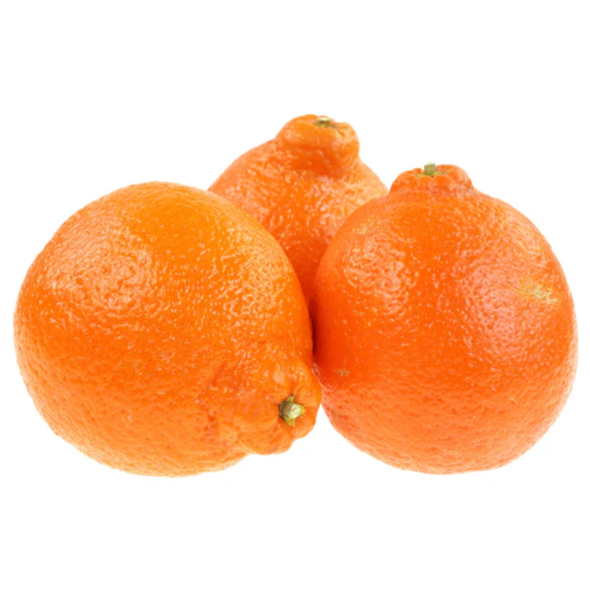 Citrus Tangelo Minneola 5l