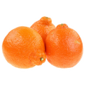 Citrus Tangelo Minneola 5l