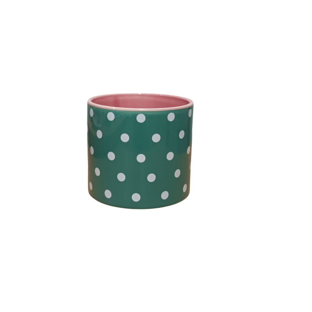 Polka Dot Teal/pink Pot Medium