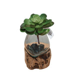 Load image into Gallery viewer, Glass Bowl On Log Medium

