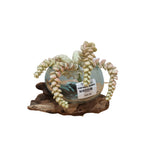 Load image into Gallery viewer, Glass Bowl On Log Medium
