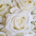 Rose Pope John Paul Ii 200mm